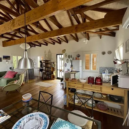 La Casa Tra Gli Alberi E Il Tatil Evi
