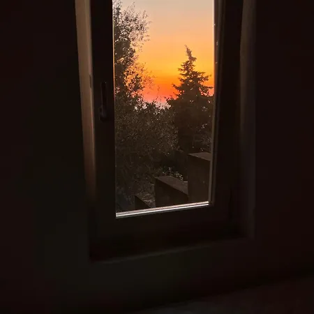 Tatil Evi La Casa Tra Gli Alberi E Il *
