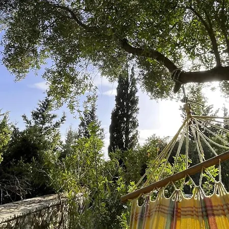 La Casa Tra Gli Alberi E Il Tatil Evi Fiskardo