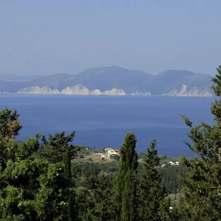 Tatil Evi La Casa Tra Gli Alberi E Il *