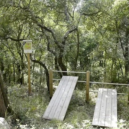 Tatil Evi La Casa Tra Gli Alberi E Il *