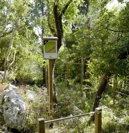 La Casa Tra Gli Alberi E Il Fiskardo